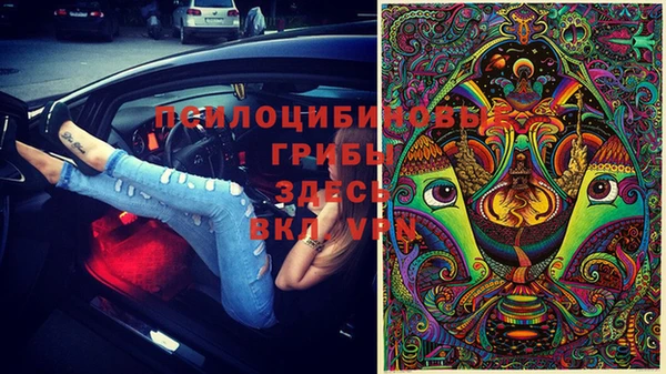 скорость Баксан