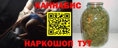 мдпв Гатчина