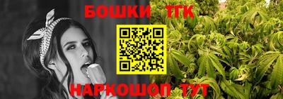 мдпв Гатчина