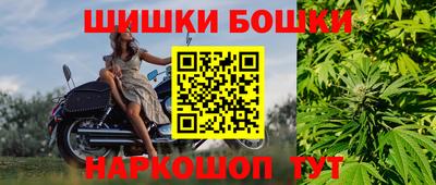 мдпв Гатчина