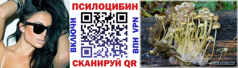 Псилоцибиновые грибы Psilocybe  MEGA ТОР  Вятские Поляны 