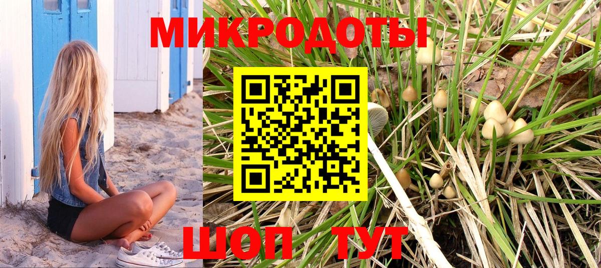 Вятские Поляны  Псилоцибиновые грибы Psilocybe  Вход с VPN 