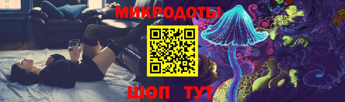 Галлюциногенные грибы Psilocybe Вятские Поляны